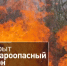 Административная комиссия муниципального района напоминает жителям района, что с 1 апреля 2026 года на территории Воронежской области начнется пожароопасный сезон. - Репьевский район