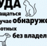 На портале «Госуслуги» можно уведомить о животном без владельца. - Репьевский район