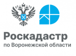 Роскадастр расскажет воронежцам об исправлении ошибок в сведениях ЕГРН.